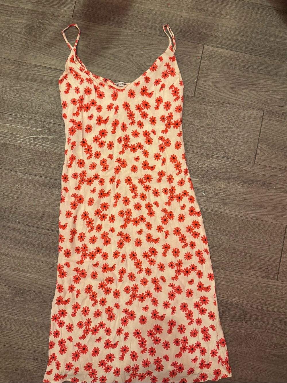 Reformation Cream Slip Dress with Red Floral Print